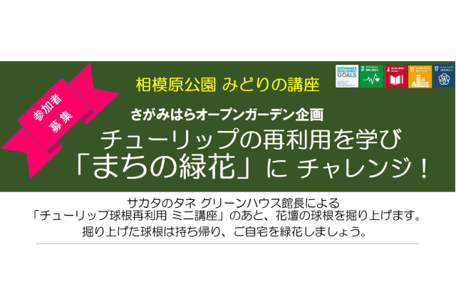 「チューリップのミニ講座＆球根堀り上げ」イベント開催！